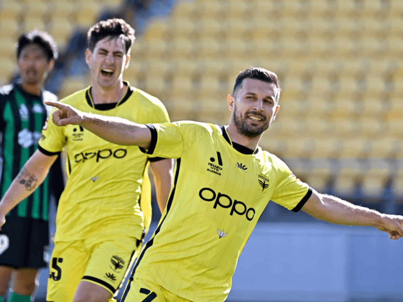 沙巴体育、沙巴体育官网、澳甲惠灵顿凤凰、Wellington Phoenix