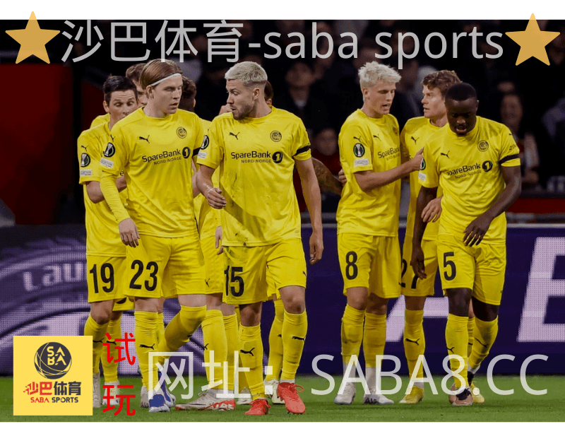 沙巴体育 沙巴体育官网 挪超 博德闪耀