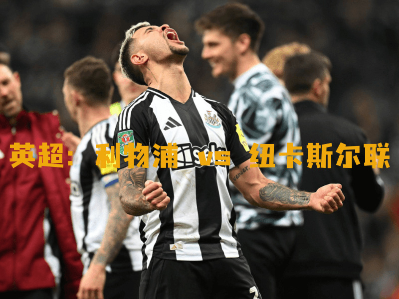 沙巴体育、沙巴体育官网、英超、纽卡斯尔联、Newcastle United