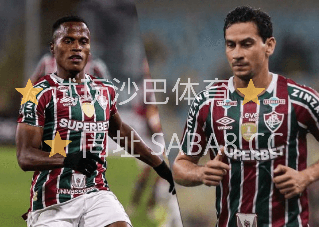 沙巴体育 沙巴体育官网 解放者杯 弗鲁米嫩塞