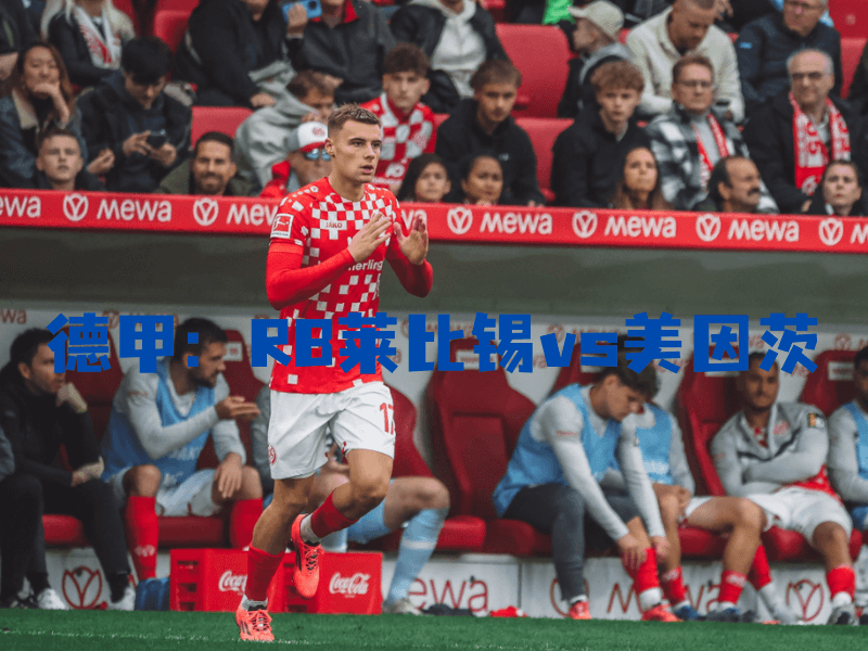 沙巴体育、沙巴体育官网、德甲、美因茨、FSV Mainz