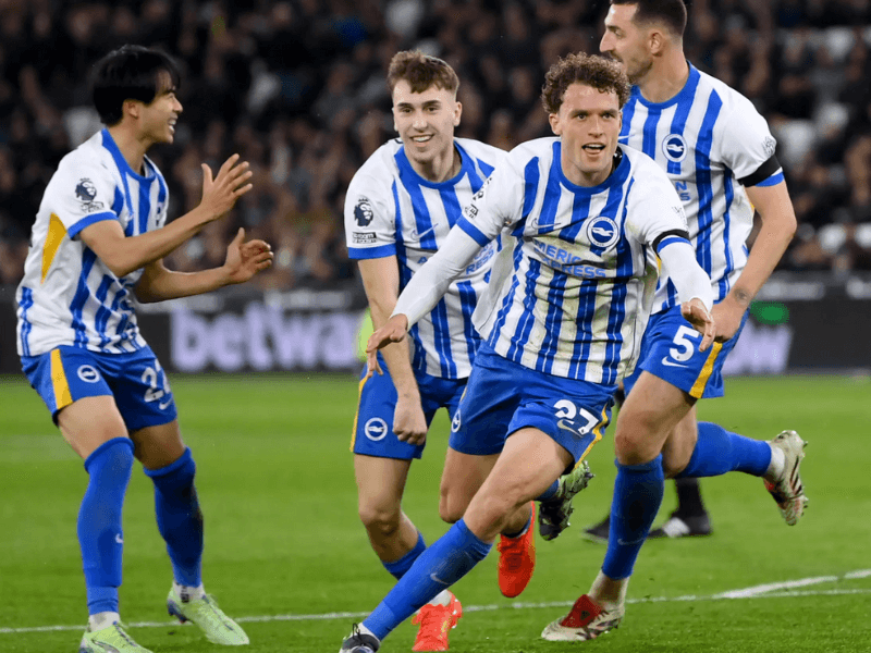 沙巴体育、沙巴体育官网、英超、布莱顿、Brighton FC