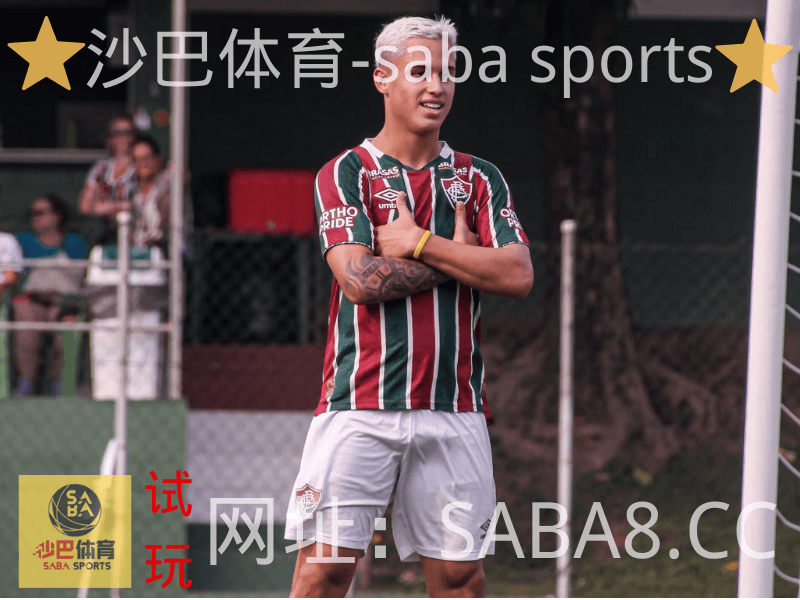 沙巴体育 沙巴体育官网 弗鲁米嫩塞