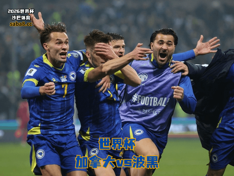 沙巴体育官网、2026世界杯、足球推荐、世界杯预测、世界杯推荐、五大联赛、波黑国家队