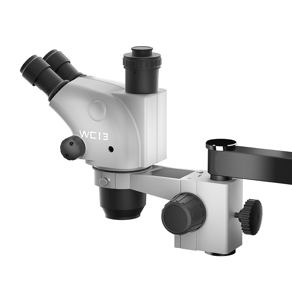 LW-WCI3-6565BG-TV