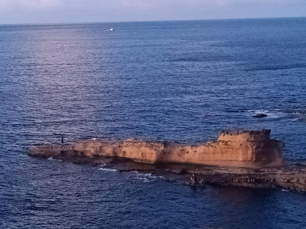 Section image