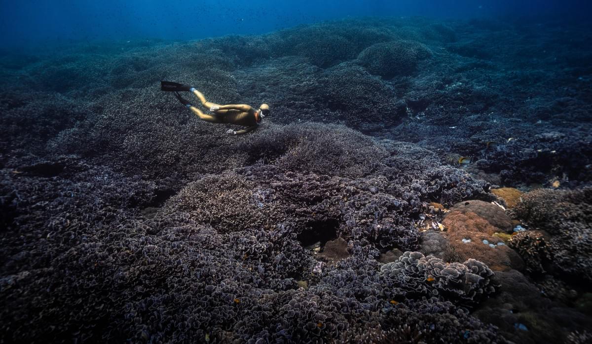 水下攝影/小琉球