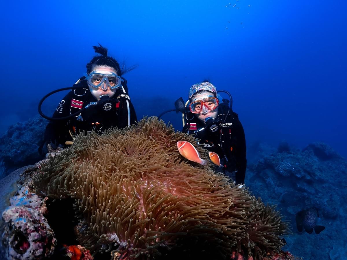 水下攝影/小琉球/水肺潛水