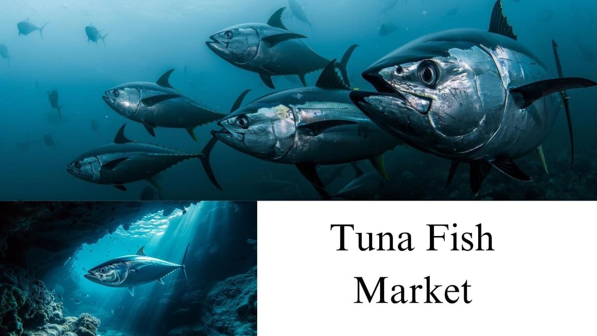Tuna Fish Market Size, Share, Trends and Growth Foreca...