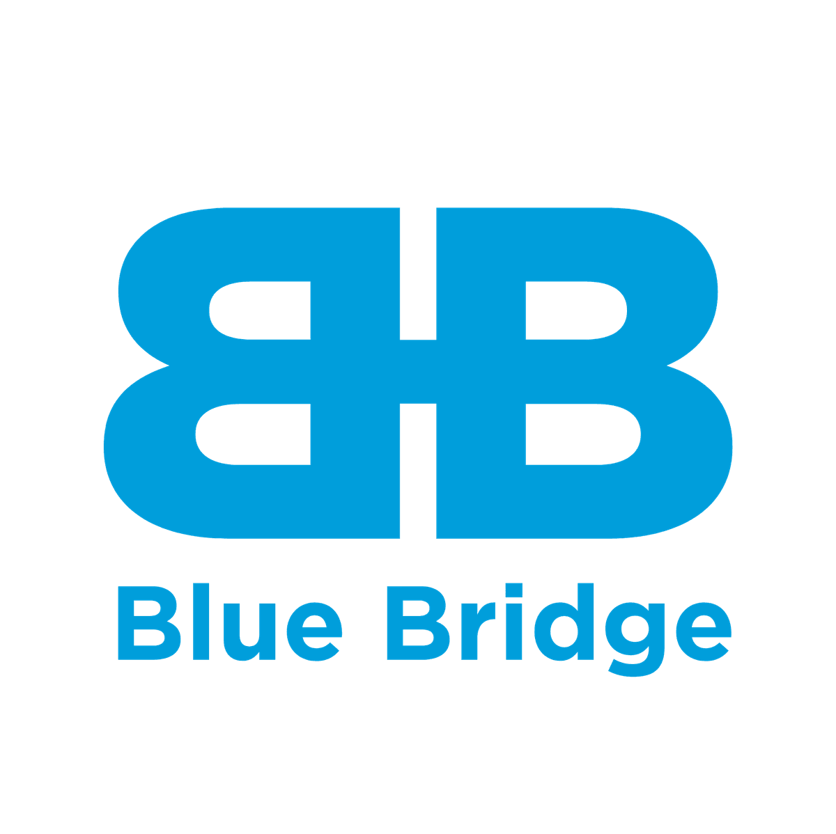 Blue Bridge Group AI