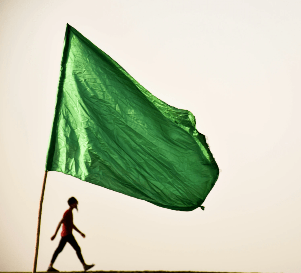 A large green flag billows dramatically in the wind against a pale, overcast sky. In the foreground, a solitary figure walks across the scene, silhouetted in dark tones and partially obscured by the flag’s movement. The flag dominates the composition, its vibrant green fabric rippling with energy and scale, while the person appears small and contemplative by contrast. The interplay of motion and stillness, color and shadow, evokes themes of identity, resilience, and presence within larger forces. The image suggests a moment of quiet defiance or reflection, framed by the symbolic weight of the flag and the expansive sky.