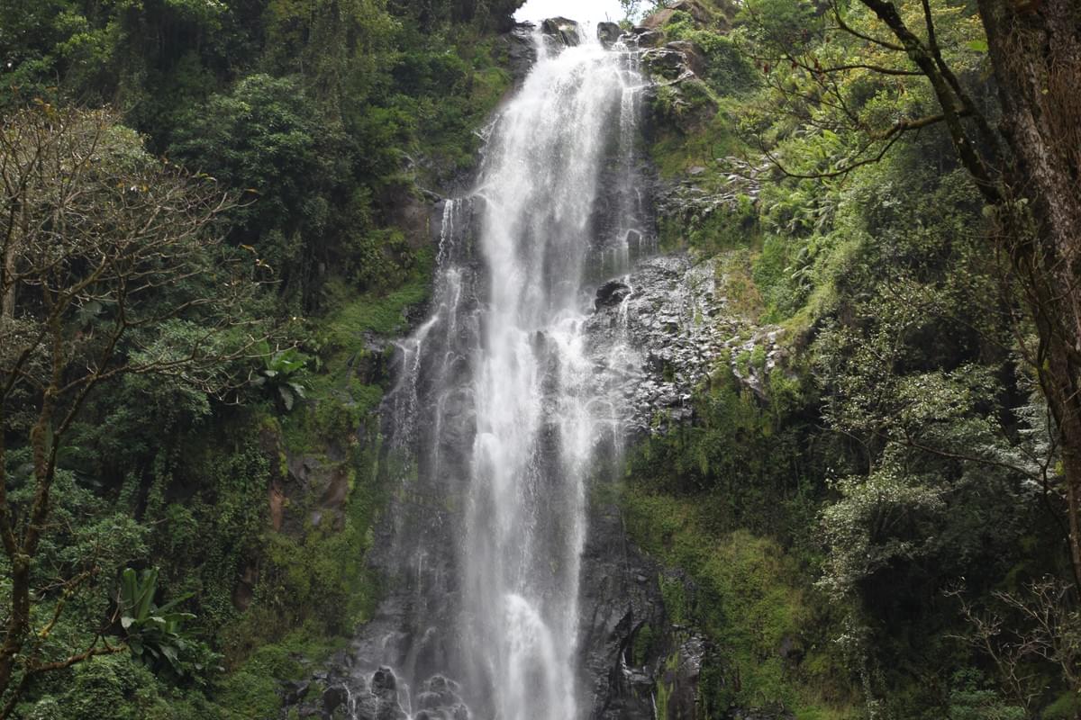 Waterfall Hike