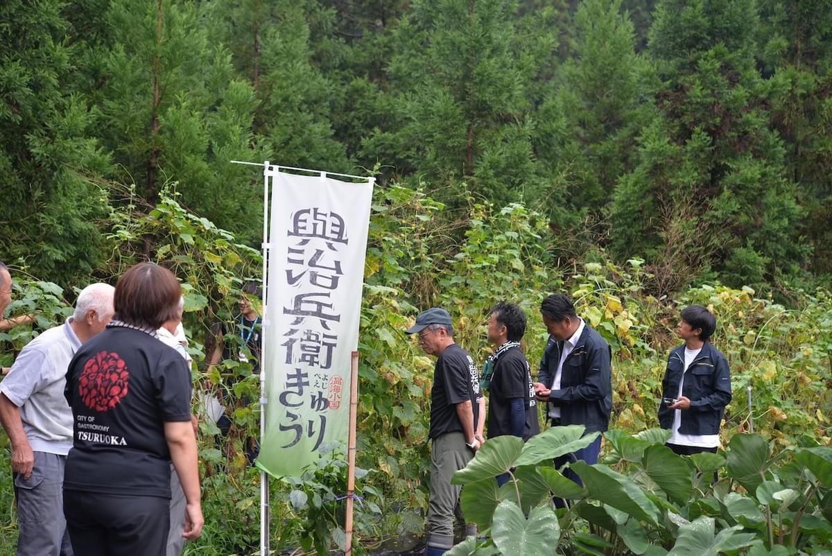 Section image