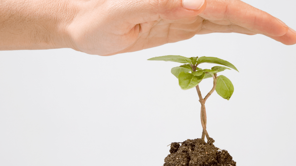 起業家　スタートアップユニオン　Tomorrow 起業家支援　トゥモロー　起業家エンパワーメント　起業家セクハラ　起業家ジェンダーギャップ 　ハラスメント罰則