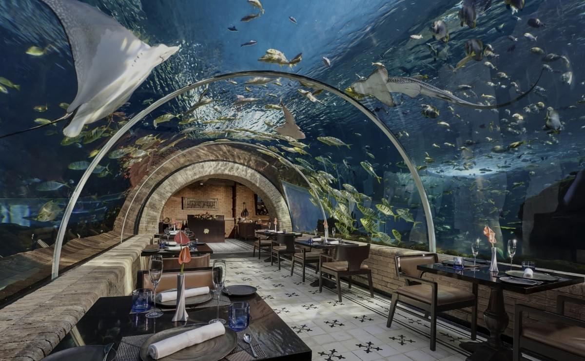 Our professional consultants will tailor a unique travel plan for you based on your needs and budget, ensuring you have an unforgettable travel experience. customized travel plan Our service travel agency