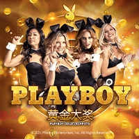 MG电子试玩|花花公子黄金大奖