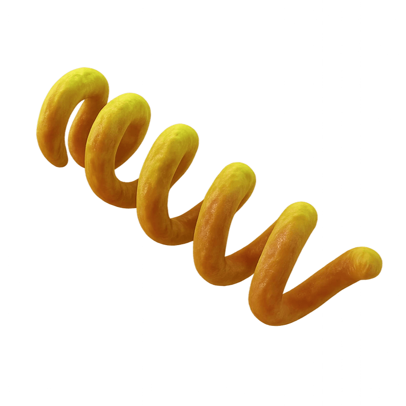 Syphilis Spirochete Illustration