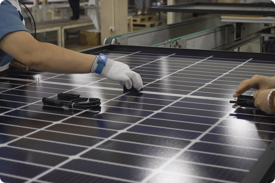 Schemat połączeń elektrycznych na tylnej stronie panelu fotowoltaicznego, pokazujący położenie puszki przyłączeniowej w module