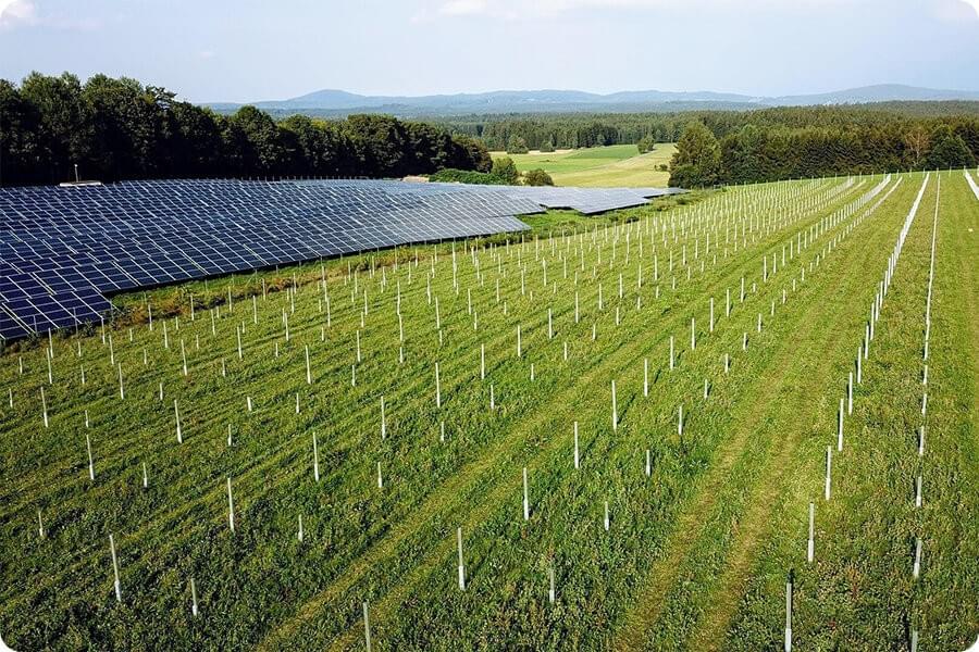 Sistema agrivoltaico con moduli fotovoltaici e spazio agricolo operativo per garantire continuità produttiva e conformità GSE