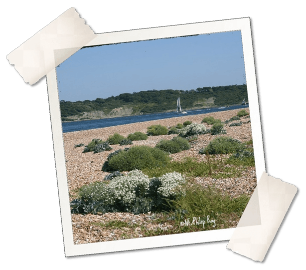 ©Natural England, Flickr