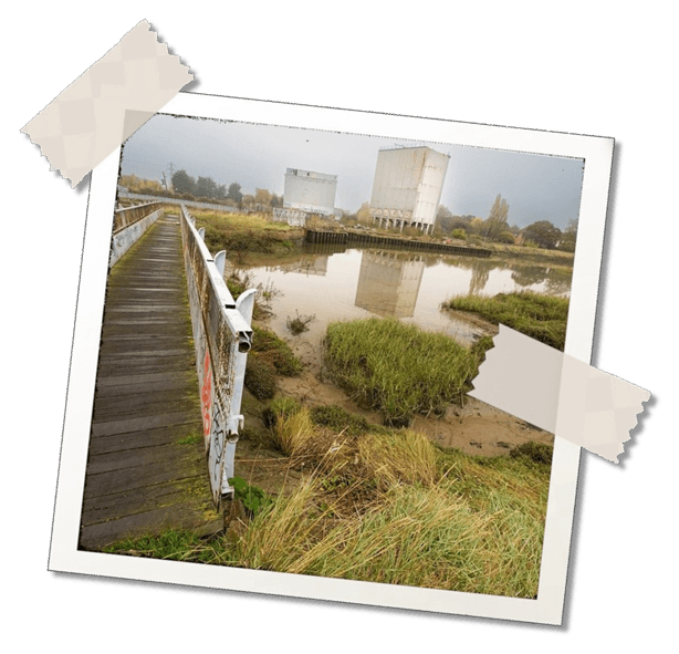 ©Dave Knight, Flickr