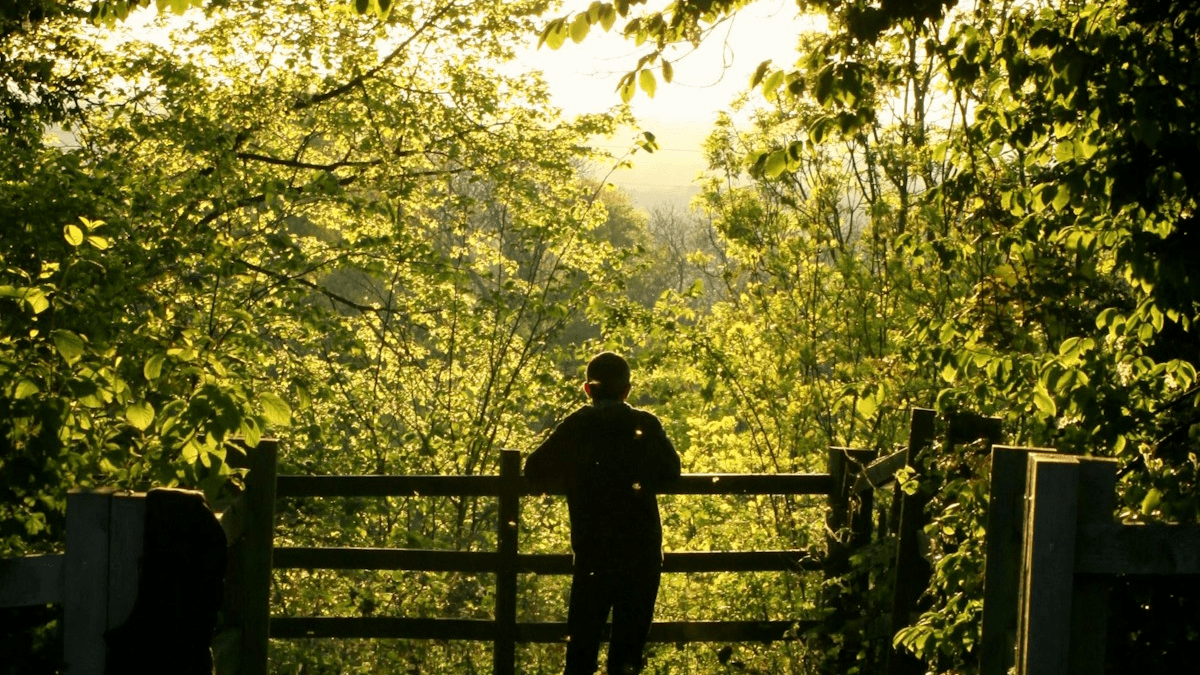 漫活 Manroot 森林浴