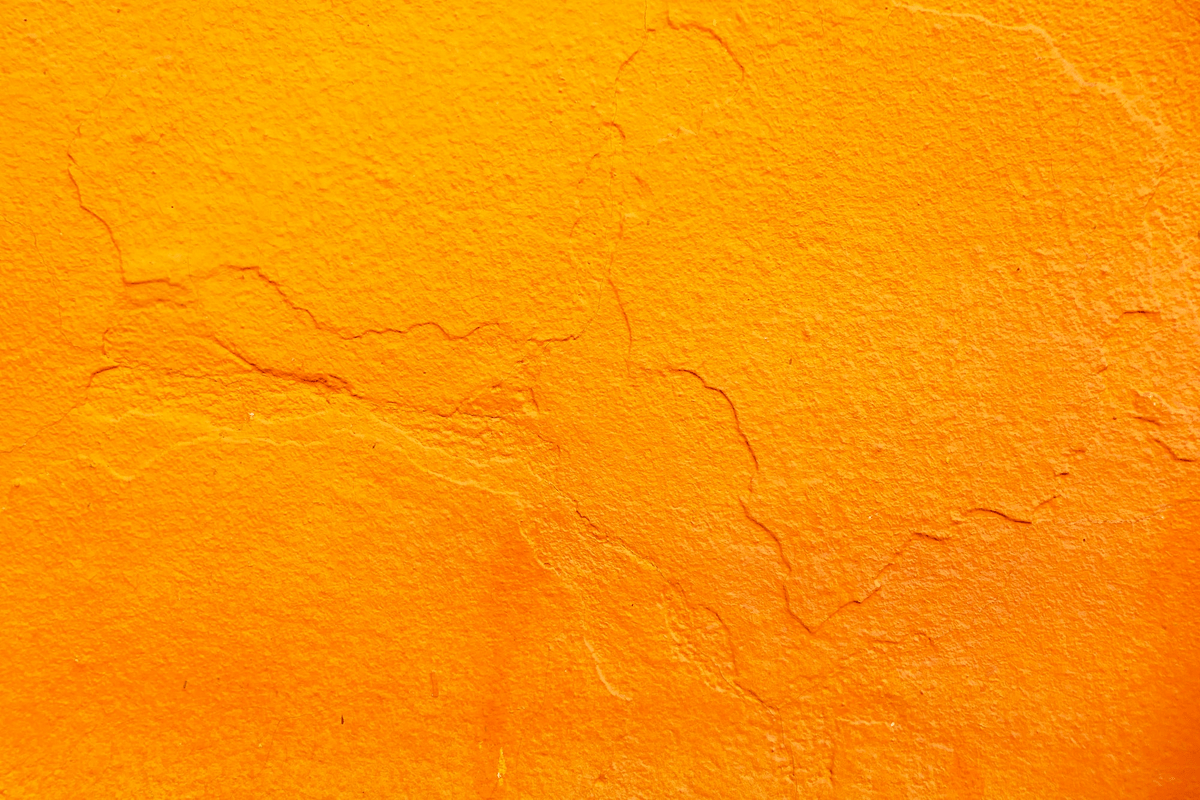 Personal Wellness Realized: The MetaPWR System - Essent...