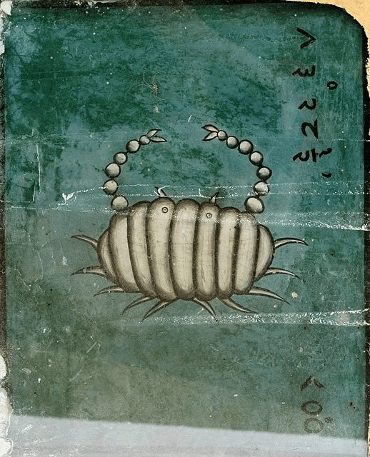 Section image