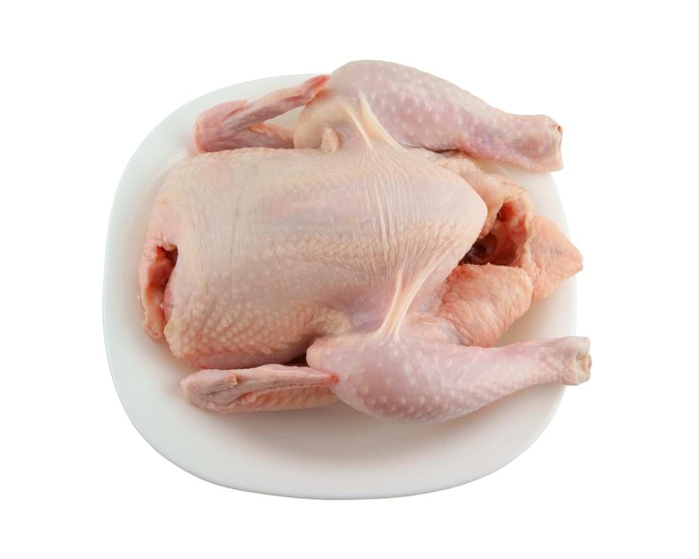 500 Gambar Potongan Unggas HD Terbaik