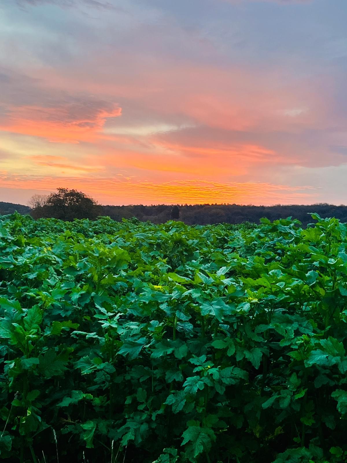  Retraite Cocoon de l'Hiver - Vendredi 30/01 au dimanche 01/02 1