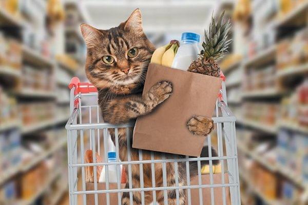 Women - Nutrition.gov