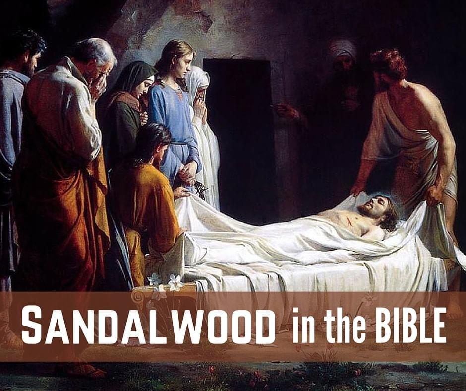 Myrrh and aloes about an hundred pound weight