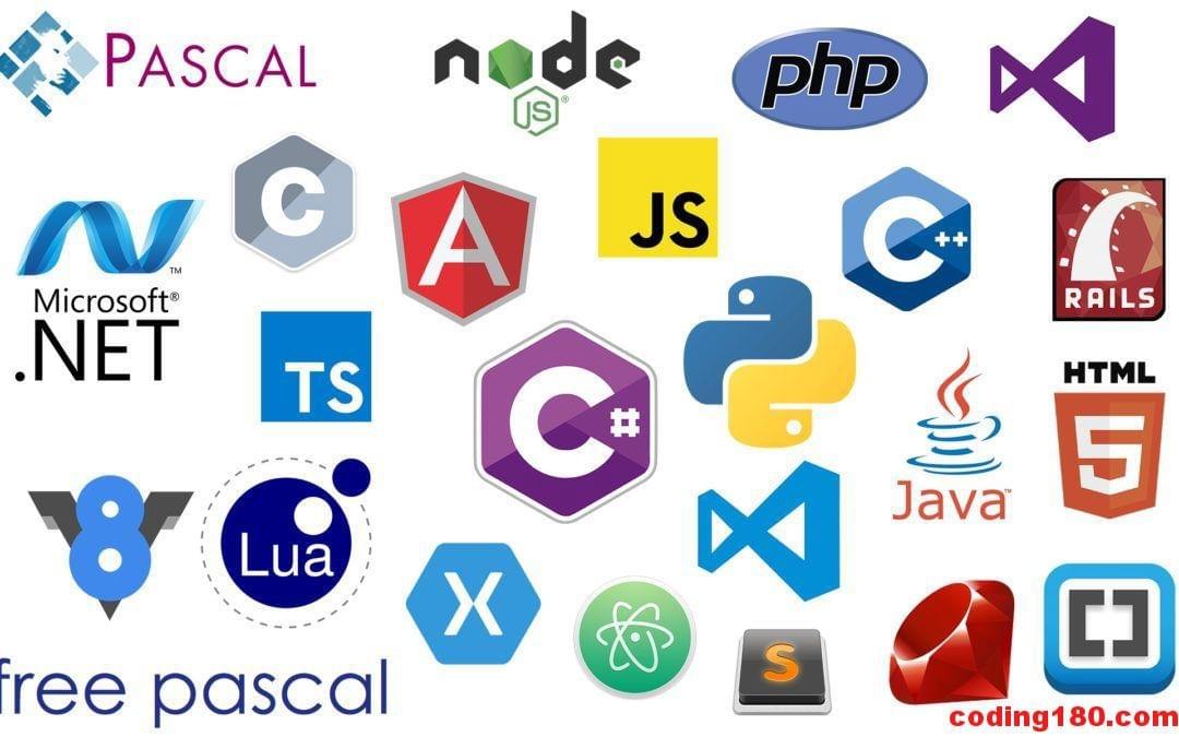 The top programming languages you should learn
