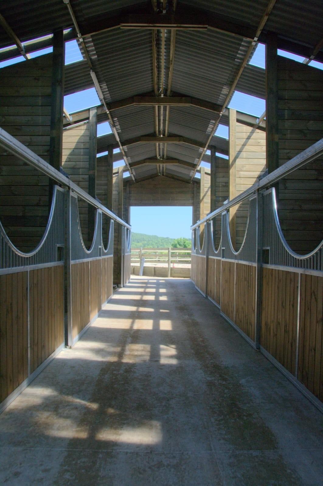 Pensions chevaux haut de gamme