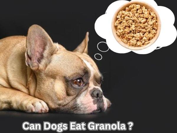 Stunning Can Dogs Eat Strawberry Granola image