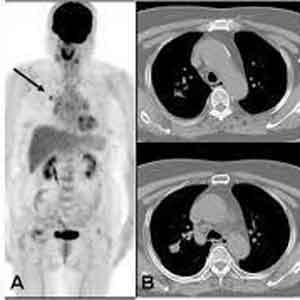 We create customized treatment plans that address individual needs, ensuring optimal recovery outcomes for our patients. Personalized Treatment Plans What We Do Healthier tissue and organ is not impossible.
Rehabilitation, the pursuit of a ray of hope.
With perspective etiology, rehabilitation is not impossible.