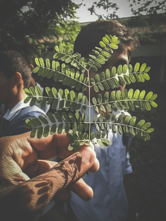 Empower Your Community Today Join the Movement for Regenerative Futures PACT | Project Access Capital Trust 

Pact is the first working instance of a Participatory Capital Trust — a slow capital pool enabling people to pre-seed, grow, and commission projects for a regenerative future.

PURPOSE

To establish a Commissioning Fund for Regenerative Futures — a mutual, ethically stewarded capital vehicle that empowers individuals and communities to pre-invest in their own capacity to shape the world they need.
Grounded in trust and reciprocity, the fund supports the design, building, and activation of regenerative, high-quality projects — across building, education, product systems, and social infrastructure.
It enables collaborative efforts to grow financial dignity, design justice, and resilient infrastructure — without falling back on extractive finance or speculative development cycles.
This is not an alternative fund. It’s a quiet revolution in how futures are resourced — and who gets to shape them. We do.