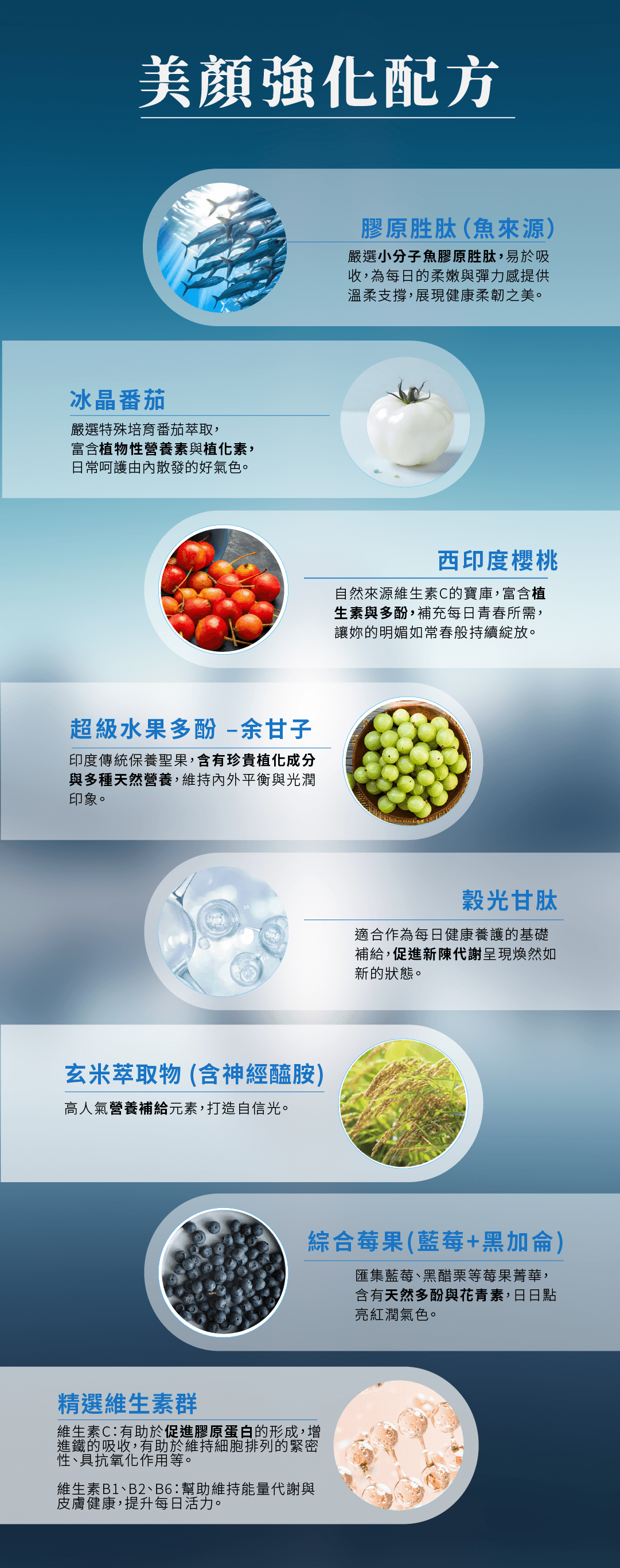 沛鉑肽 白月光膠原胜肽粉12 -in- 1