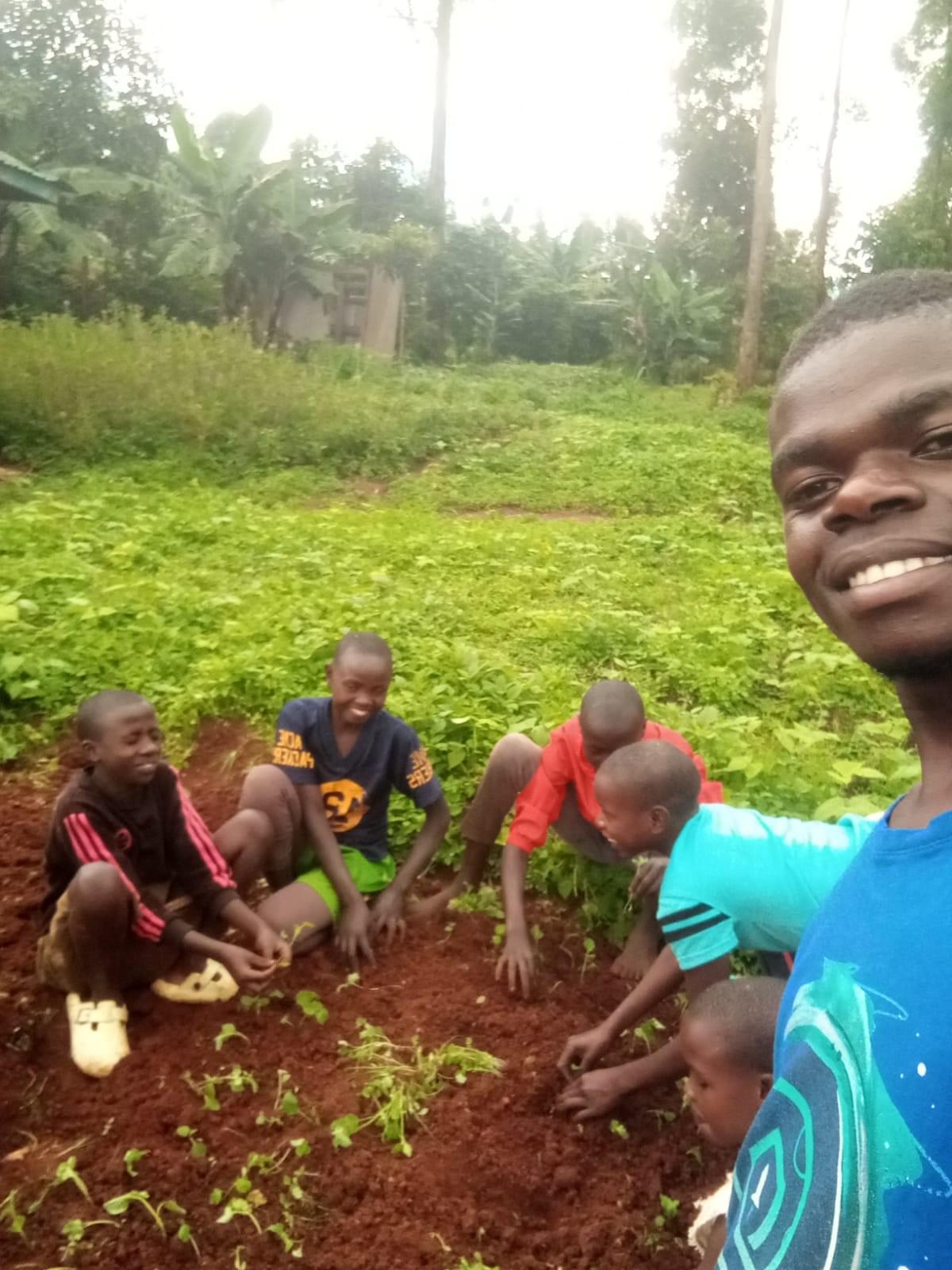 A community-grown school garden — built row by row, feeding kids, teaching regeneration.line