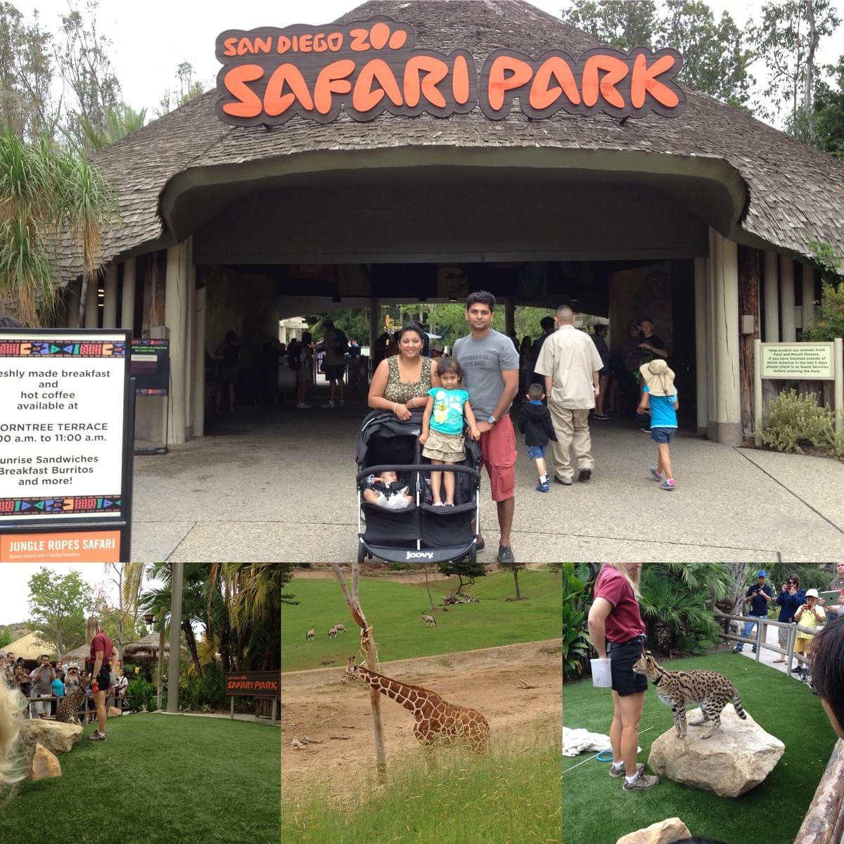 Top-Places-To-Visit-In-California-Safari-Park-San-Diego