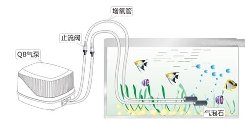 Filter systerm built with the air pump by Owl pump