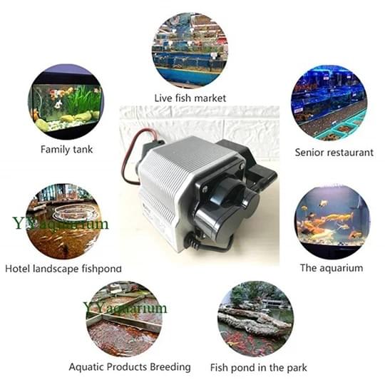 12V & 24V DC High Pressure Air Pump Manufacturer | Portable Air Compressor for Aquaculture