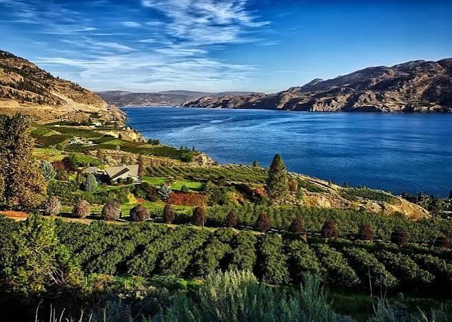 Rent a Boat for Unforgettable Adventures Experience Okanagan Lake Like Never Before Boat rental company, we offer boat rentals to people on Okanagan Lake