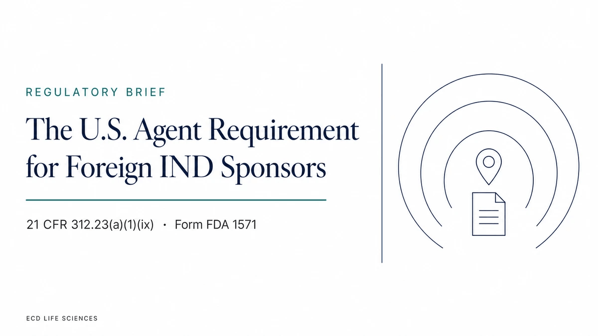 he U.S. Agent Requirement for Foreign IND Sponsors | ECD Life Sciences