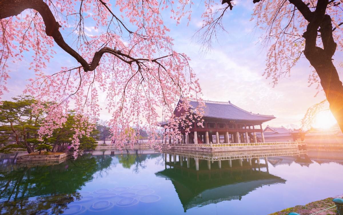 【豪華首爾】愛寶樂園+景福宮 五日