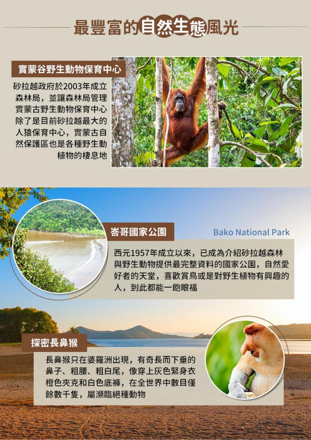 【汶萊+古晉】砂拉越古晉+汶萊探索 八日