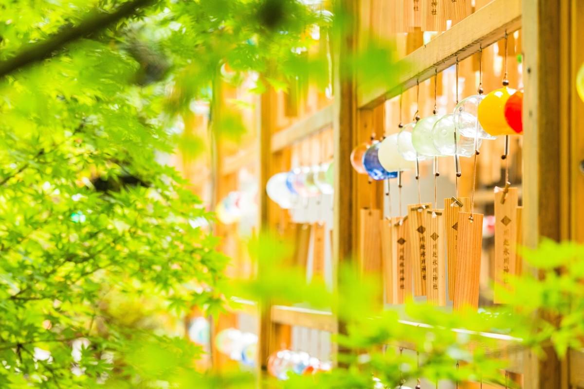 【精彩東京】半自助五日-兩日自由活動