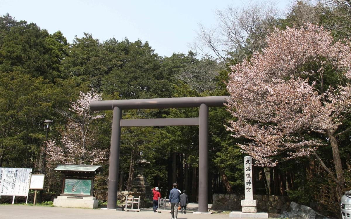 【北海道三溫泉】三溫泉飯店+尼克斯海洋公園+函館夜景 六日
