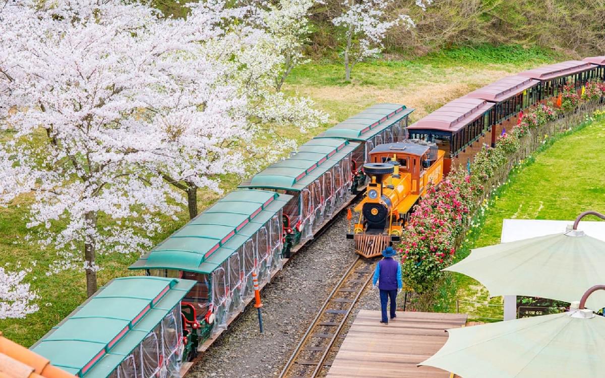 【尊爵濟州】神話樂園+歐式森林小火車+韓華渡假村 五日