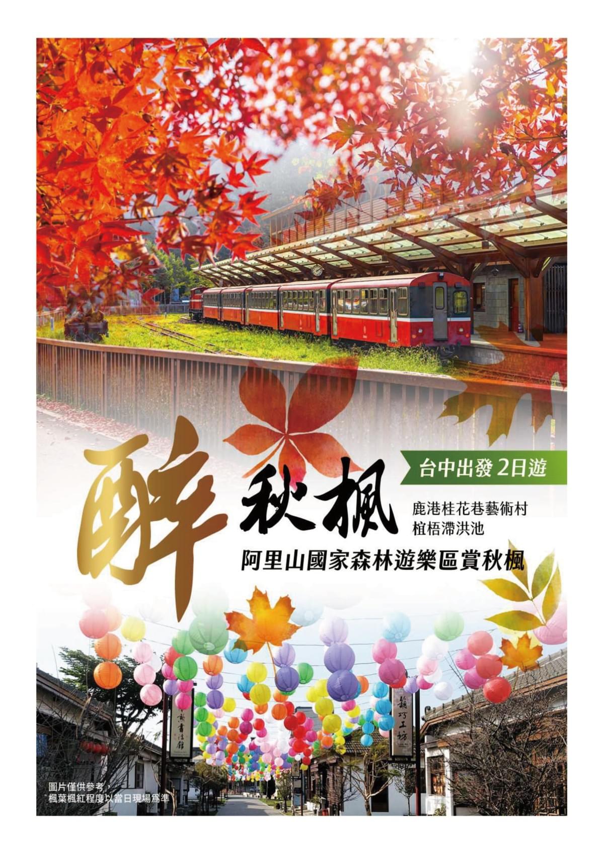 【台中-夢幻光雕秀】大古山夜景 一日